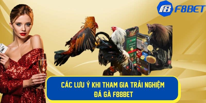 Những lưu ý khi tham gia đá f88bet